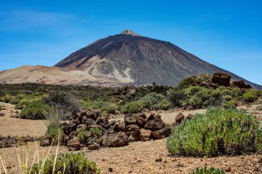 Güneşli bir günde arkasında Teide volkanı olan El Teide Ulusal Parkı. Kanarya Adaları, Tenerife, İspanya.