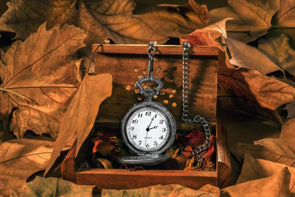 アンティーク時計秋葉します。 — ストック写真