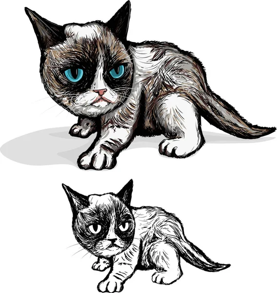  Huysuz kedi yavrusunun görüntüsü (vektör)