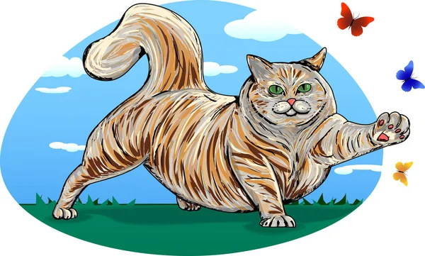  Şişman, kırmızı bir yay kedisi tasviri