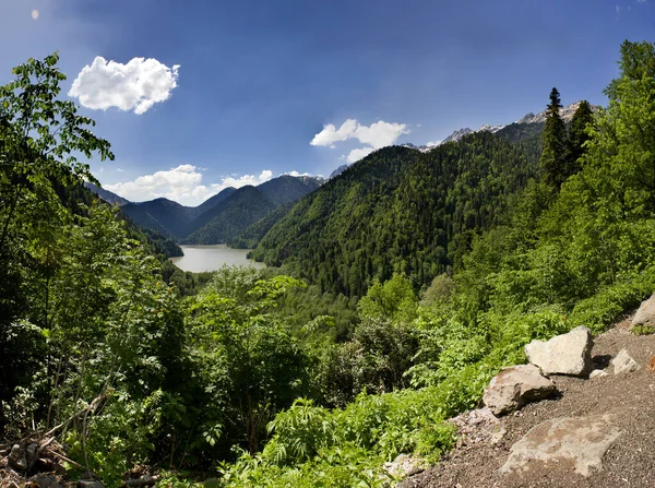 Гірський Краєвид Абхазії Зелена Природа — стокове фото