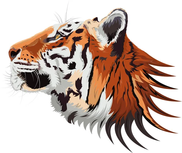 Ilustrație Vectorială Capului Unui Tigru Profil Abstracție — Vector de stoc