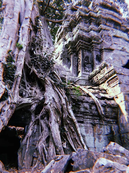 Angkor Wat Kamboçya Daki Yıkılmış Tapınak — Stok fotoğraf