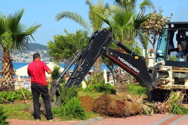 Alanya, Türkiye - 15 Mayıs 2019. İşçiler ve kazıcılar, plaja yakın Ahmet Tokush bulvarındaki çimlerde çalışıyorlar..