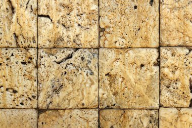 Eski coquina 'nın yüzeyi (kabuk taşı, kabuk taşı, kireç taşı), doku, arkaplan.