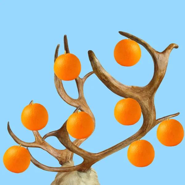 Konzept Rentierhörner Und Orangen Auf Blauem Hintergrund Collage Minimaler Zeitgenössischer — Stockfoto
