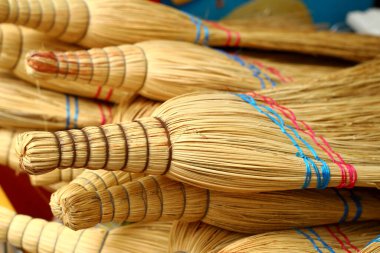 Bir sürü süpürge tarlası, yakın plan..