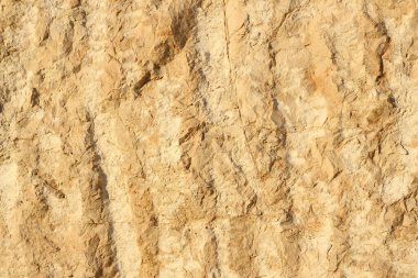 Doğal kireçtaşı yüzeyi (coquina, kabuk taşı) arka plan.