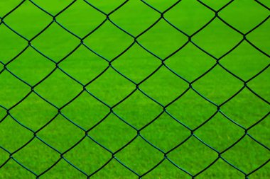 Parlak yeşil çimen ve tel ağ dokusu, arkaplan.
