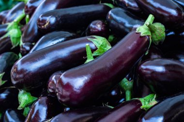 Bir grup olgun taze patlıcan yakın plan, seçilmiş fokus, arka plan.