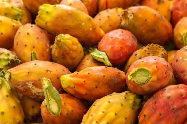 Bir yığın olgun dikenli armut kaktüsü Opuntia meyvesi, arka plan..