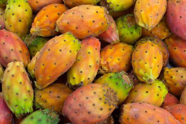 Bir demet olgun dikenli armut kaktüsü Opuntia meyveleri, arka plan, üst manzara.