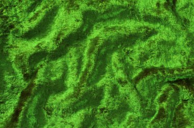 Parlak yeşil kadifenin dokusu