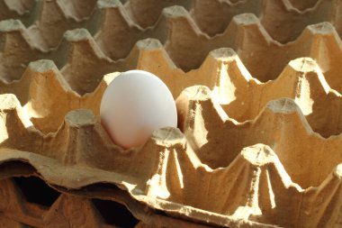 Yumurta kutusunda çiğ tavuk yumurtası..