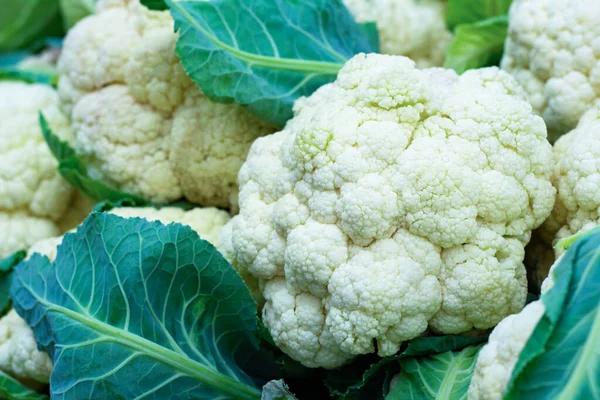 Heap Fresh Cauliflower Close Selective Fokus — Stock Photo, Image