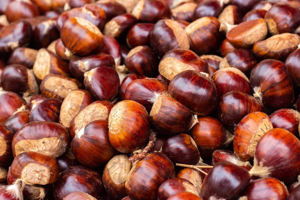 Heap Ripe Raw Chestnuts Closeup Selective Fokus Background Stock Picture