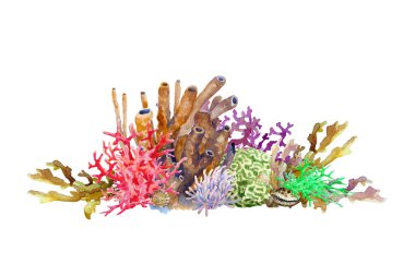 Reef with colorful corals, sponge, anemone and shell. Underwater landscape, hand drawn watercolor illustration. clipart