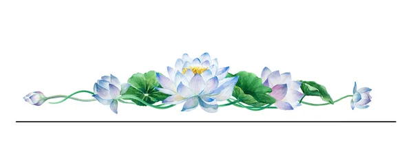 芽和叶在白色背景上的构图边框 水彩画插图 — 图库照片