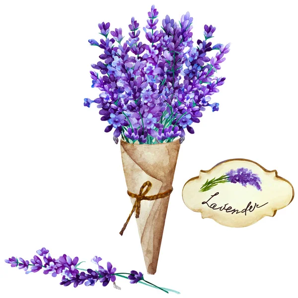 Profumo Fiori Lavanda Una Cornetta Carta Etichetta Fondo Bianco Illustrazione — Foto Stock