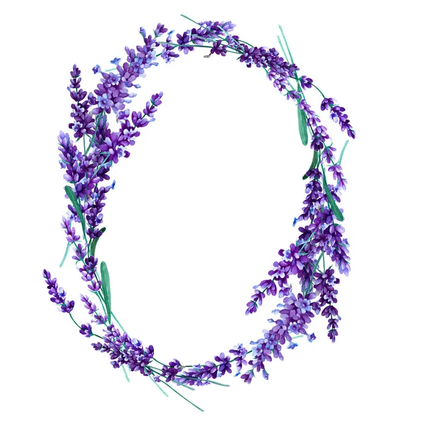 Grinalda Oval Flores Lavanda Fundo Branco Ilustração Aquarela Desenhada Mão — Fotografia de Stock