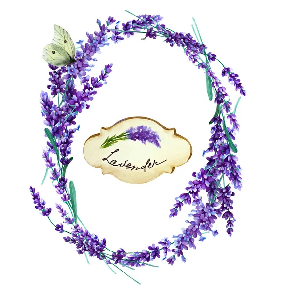 Levendula Virágkoszorú Pillangóval Címke Fehér Alapon Kézzel Rajzolt Akvarell Illusztráció — Stock Fotó