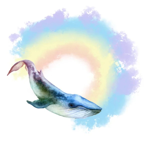 白い背景にカラフルなブルーのクジラと虹を飛んでいます 手描き水彩画 — ストック写真