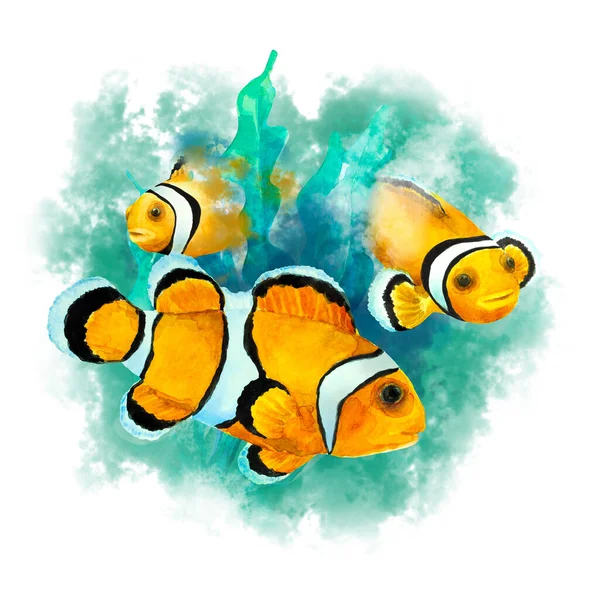 Pez Arrecife Tropical Clownfish Amphiprion Ocellaris Sobre Fondo Verde Abstracto —  Fotos de Stock
