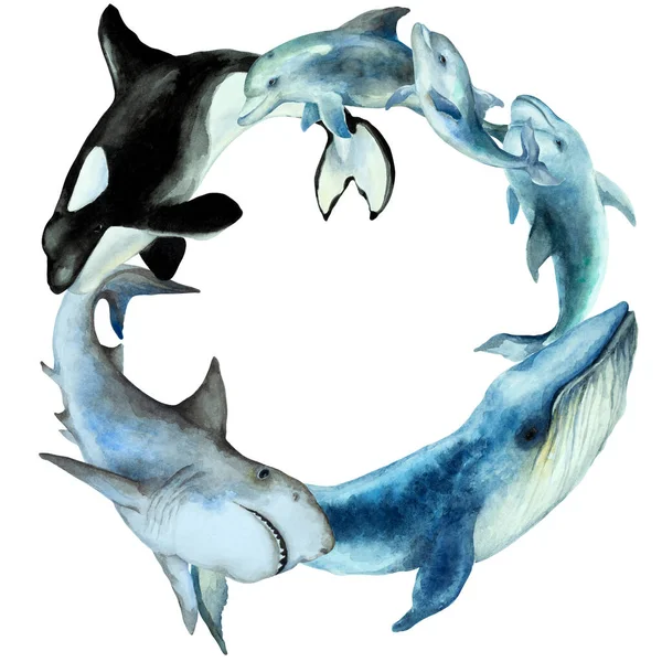 Circle Wreath Swimming Fish Dolphins Shark Blue Whale Killer Whale — Stock Photo, Image