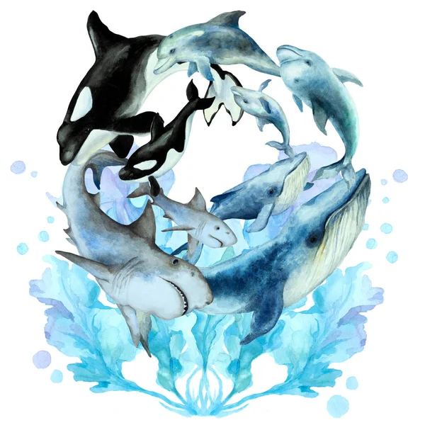一群游动的鱼 虎鲸和蓝藻 背景为白色 手绘水彩画 — 图库照片