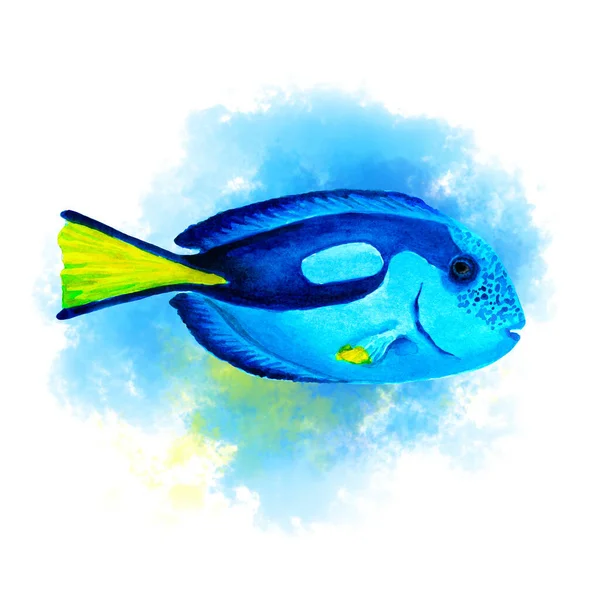 Modrá Tanga Ryby Abstraktním Modrém Pozadí Izolované Ručně Kreslené Akvarel — Stock fotografie