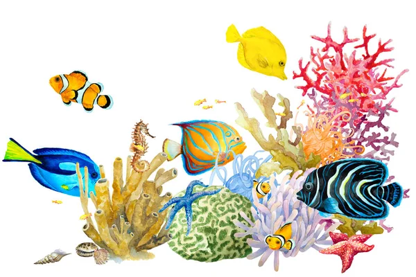 물고기 해면동물 말미잘 불가사리 손으로 색깔의 그림이 산호초 — 스톡 사진