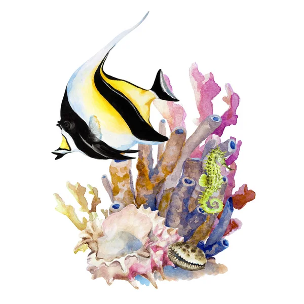 Balik moorish idol (zanclus), renkli mercanlar, deniz atı ve kabuk, el yapımı suluboya resimleme.