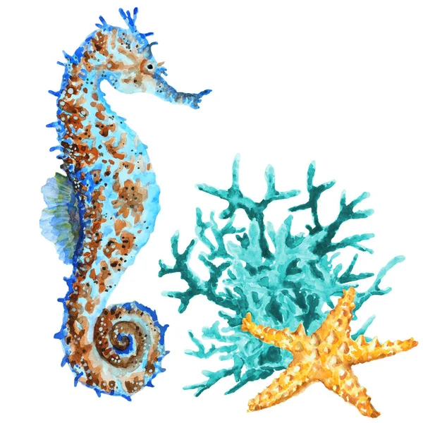 白を基調としたカラフルなシーホース サンゴ ヒトデ 手描き水彩イラスト — ストック写真