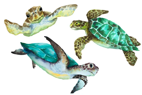 Zeeschildpadden Een Witte Achtergrond Aquarel Handtekening Illustratie — Stockfoto