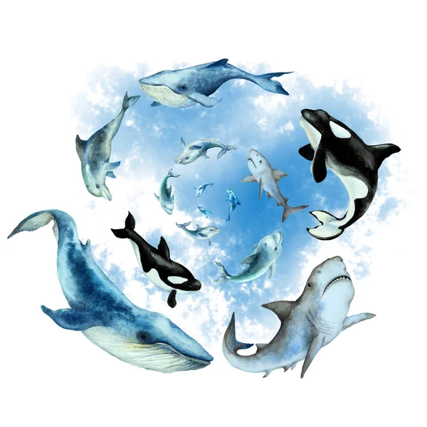 游海豚 虎鲸杀手旋转在一个螺旋形的抽象蓝色背景 手绘水彩画 — 图库照片