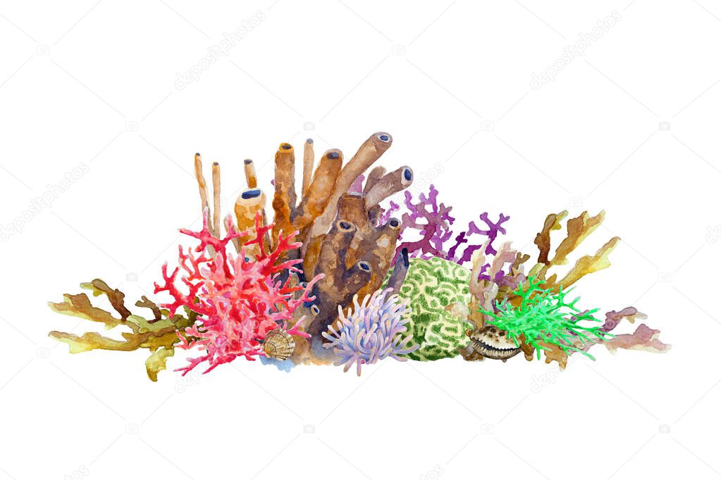 Reef with colorful corals, sponge, anemone and shell. Underwater landscape, hand drawn watercolor illustration.
