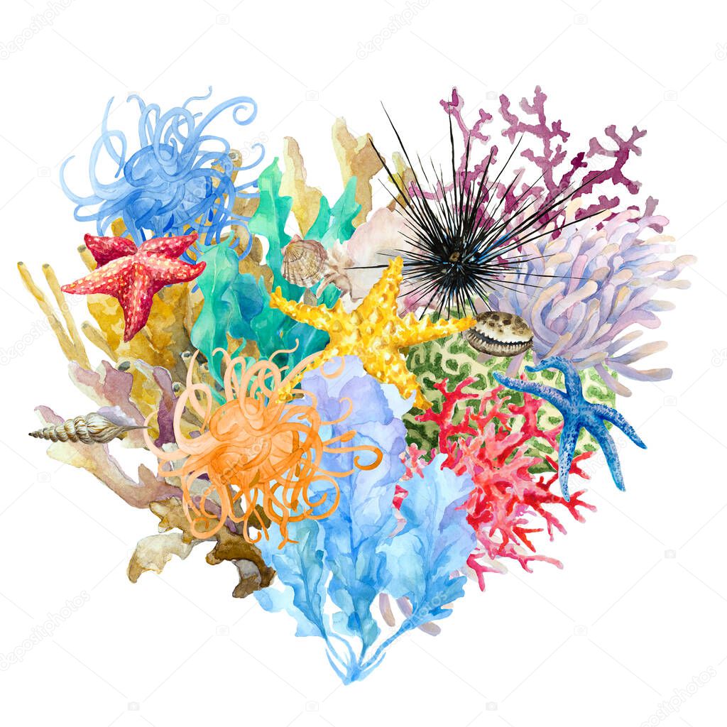 Heart shaped of colorful corals, anemones, starfish, sea urchin, seaweed, shells, isolated. Hand drawn watercolor illustration.