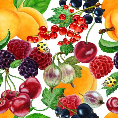 Kayısı, ahududu, kırmızı frenk üzümü, kara frenk üzümü, kiraz, böğürtlen, bektaşi üzümlü beyaz arka plan, elle çizilmiş suluboya çizimi. Kusursuz desen.