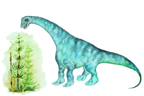 白い背景に巨大な草食恐竜の竜脚類と馬の尾 手描き水彩画のイラスト — ストック写真