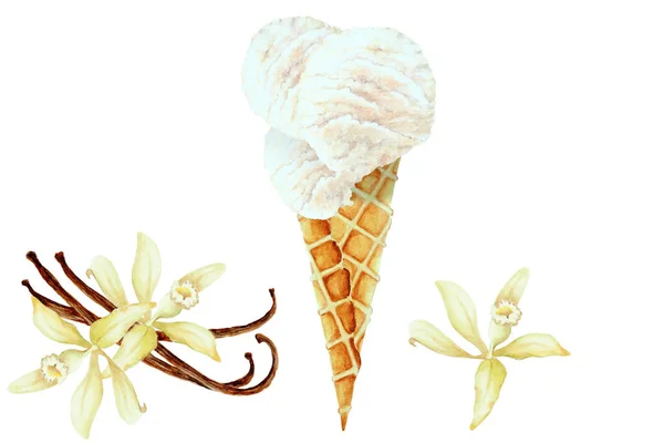 Palle Gelato Alla Vaniglia Cono Cialda Baccelli Vaniglia Con Fiori — Foto Stock