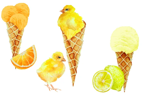 Σετ Παγωτό Πορτοκάλι Κώνο Βάφλας Φέτα Πορτοκάλι Κίτρινο Κοτόπουλο Κώνο — Φωτογραφία Αρχείου