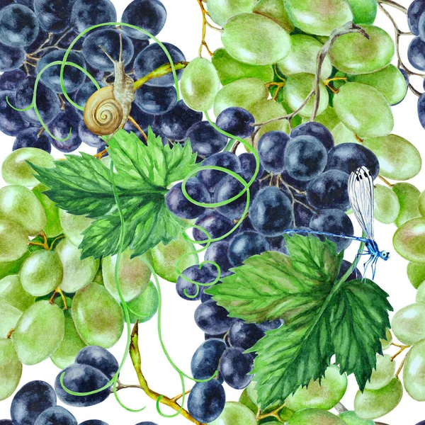Черный Зеленый Виноград Листьями Ручной Рисунок Акварелью Бесшовный Рисунок Фон — стоковое фото