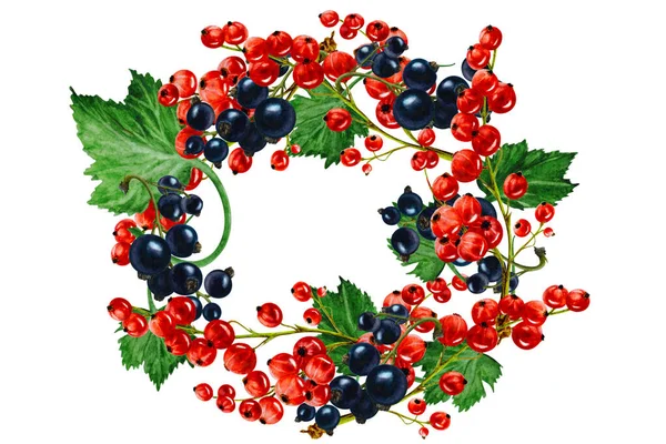 Krans Røde Solbærbær Med Blader Hvit Bakgrunn Håndtegnet Illustrasjon Akvareller – stockfoto