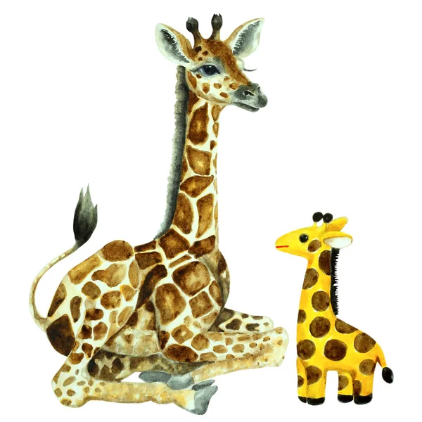 Baby Giraffe Little Toy Camelopard White Background Hand Drawn Watercolor — Stock Photo, Image