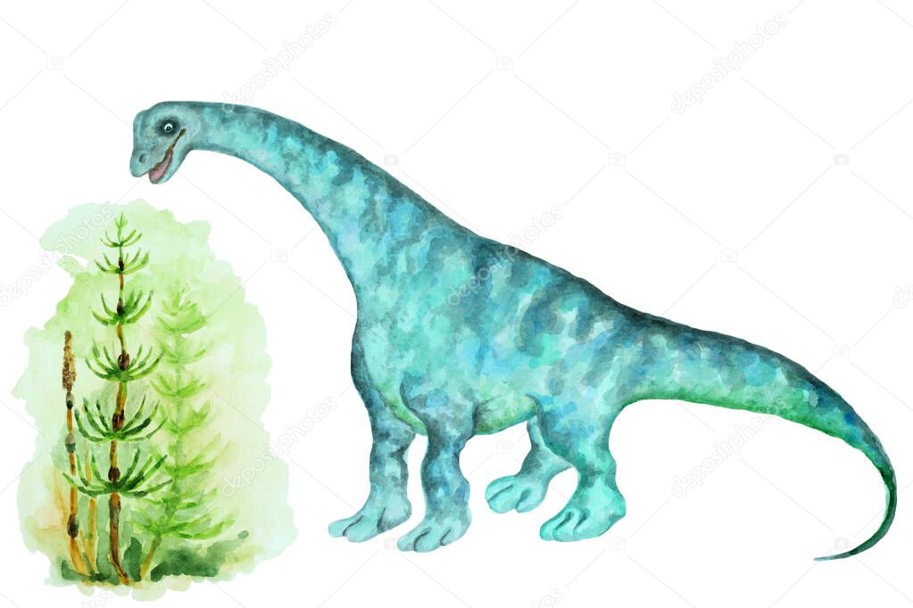 Giant herbivorous dinosaur sauropod and horsetail on a white background, hand drawn watercolor illustration.