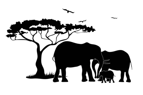 非洲象的家庭 黑色轮廓的动物 树木和鸟类 野生动物保护概念 矢量说明 — 图库矢量图片