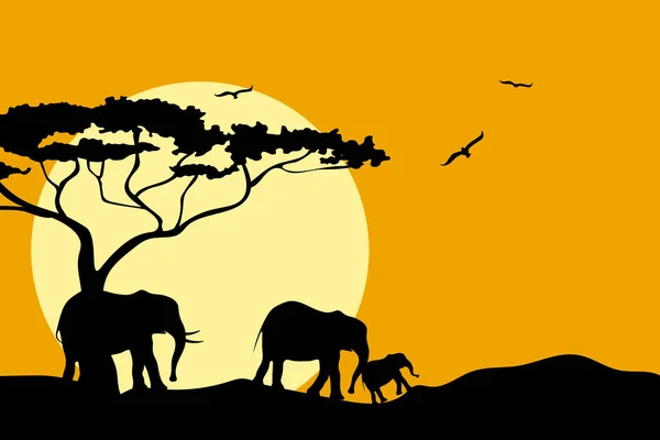Afrika 'daki fil ailesi. Günbatımının arka planında siyah bir siluet. Vahşi yaşamı koruma konsepti. Vektör illüstrasyonu.
