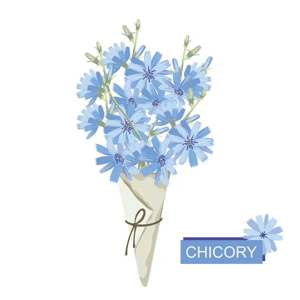 白の背景に隔離された紙コーンに青いチコリの花の花束 ベクターイラスト — ストックベクタ