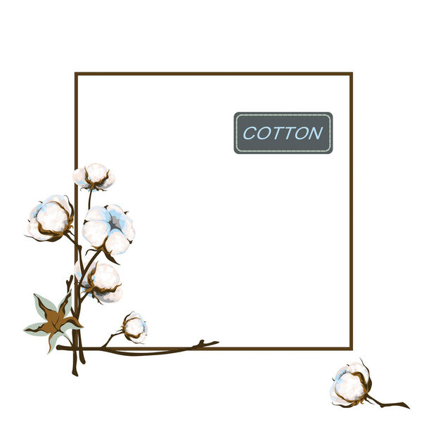 Square frame of the cotton branch. White fiber bolls and leaf on the stem. Fluffy flower. Vector illustration, copy space for design.