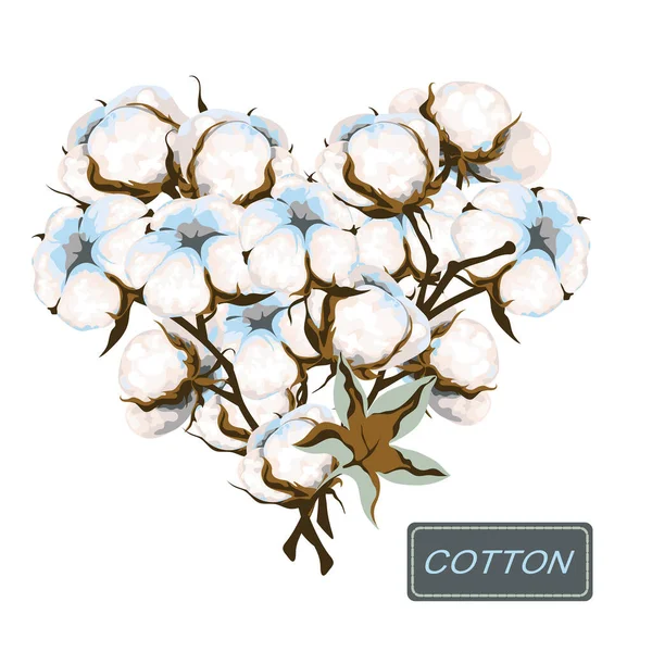 白い背景に綿の枝のハート型 茎に白い繊維のボールと葉 ふわふわの花 ベクターイラスト — ストックベクタ